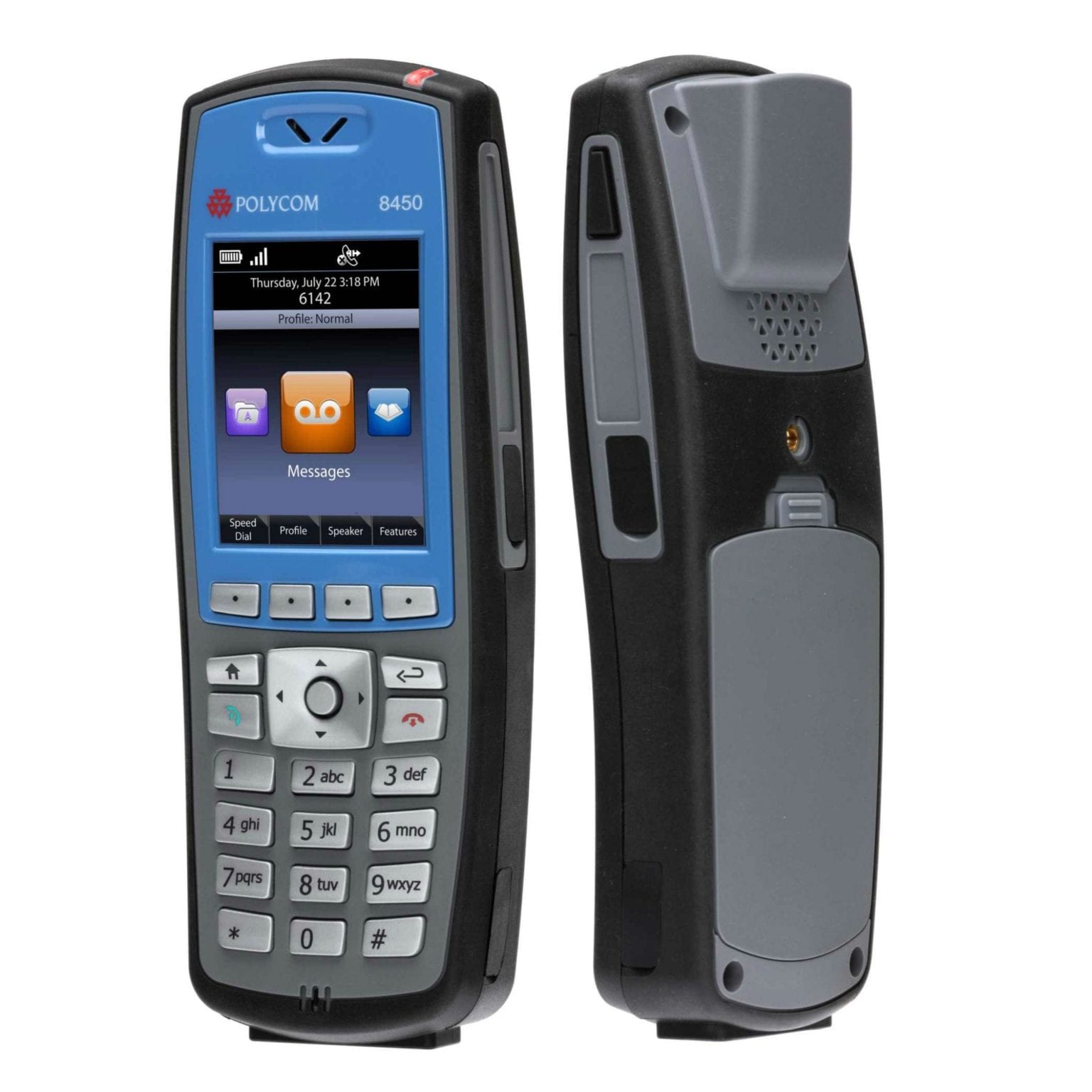 Spectralink 8450 DLS Services