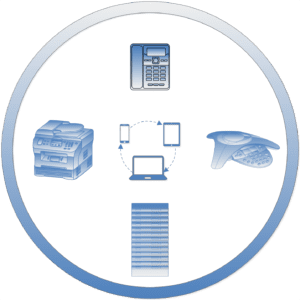 Services provided by DLS